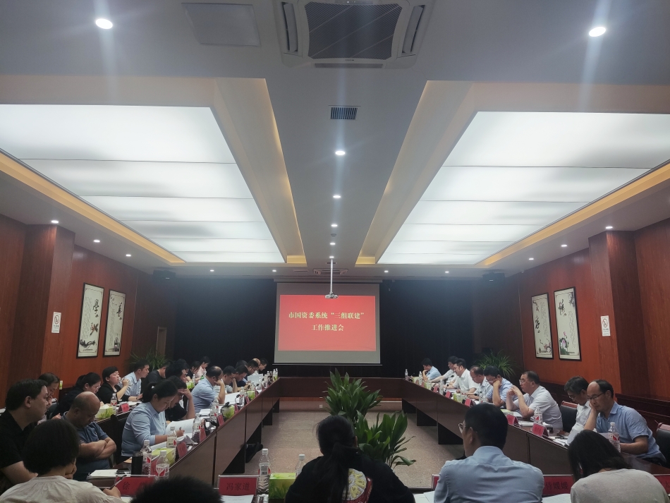 2024年7月17日，市國(guó)資委系統(tǒng)在公司開(kāi)展“三組聯(lián)建”現(xiàn)場(chǎng)觀摩（推進(jìn)會(huì)）_副本